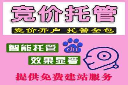 某公司信息流广告的精准投放与效果评估